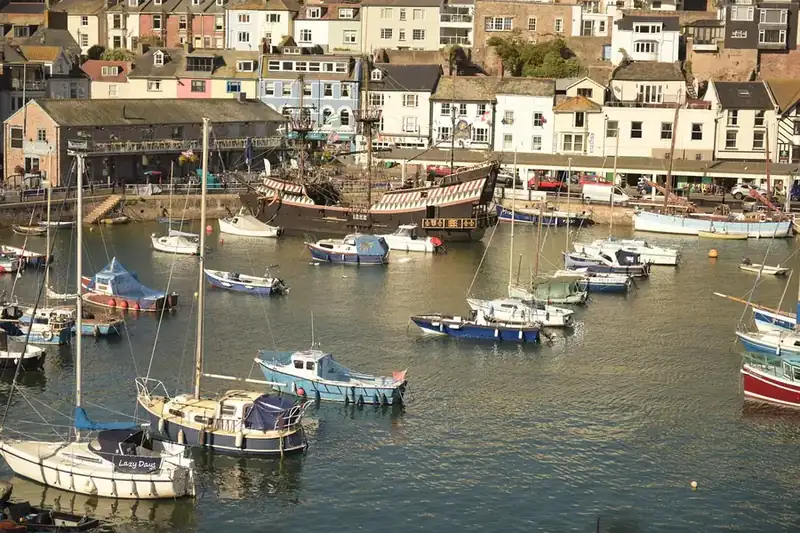 Brixham harbour with fishing boats moored below houses climbing the hillside, the salt air that shapes timber choice in the town