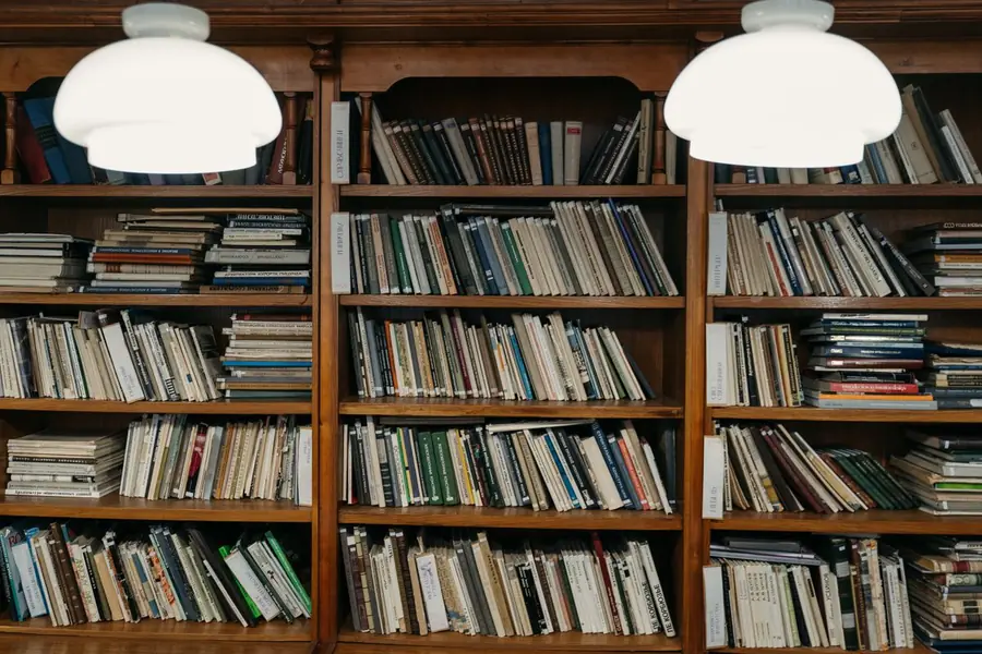 Timber bookshelves fully loaded with books under warm lamps, showing the kind of permanent load a shelf span has to be designed for
