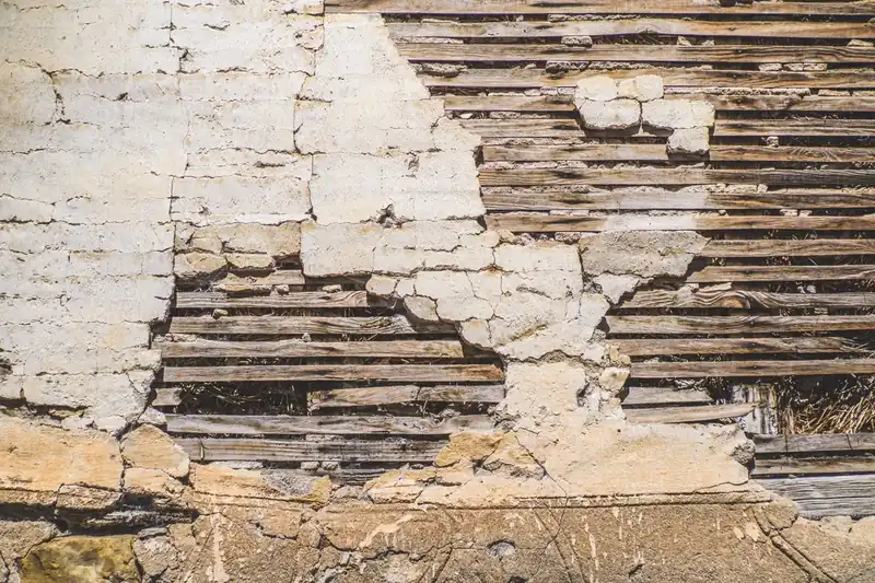 Old lime plaster crumbling away from the timber laths behind it, the kind of soft uneven surface a bookcase in a Torquay villa has to be fixed through rather than to