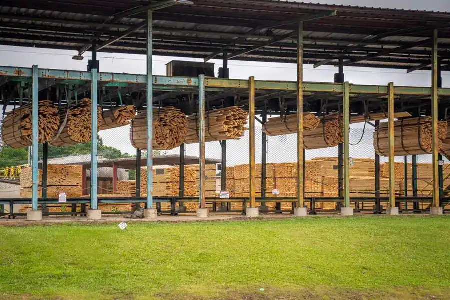 Sawn boards stacked for drying at a timber yard, where provenance questions start