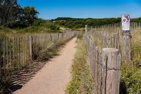 A sandy path between wooden fences and dune grass at Dawlish Warren