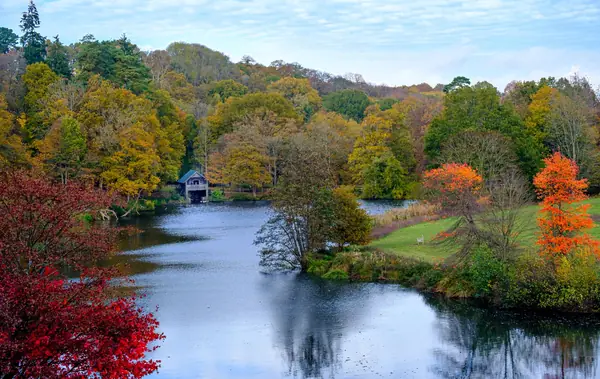 A still lake reflecting autumn woodland in a country park