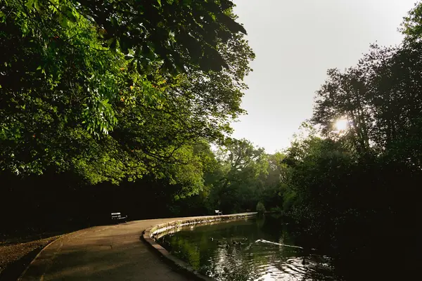 A paved path beside a slow stream under overhanging trees