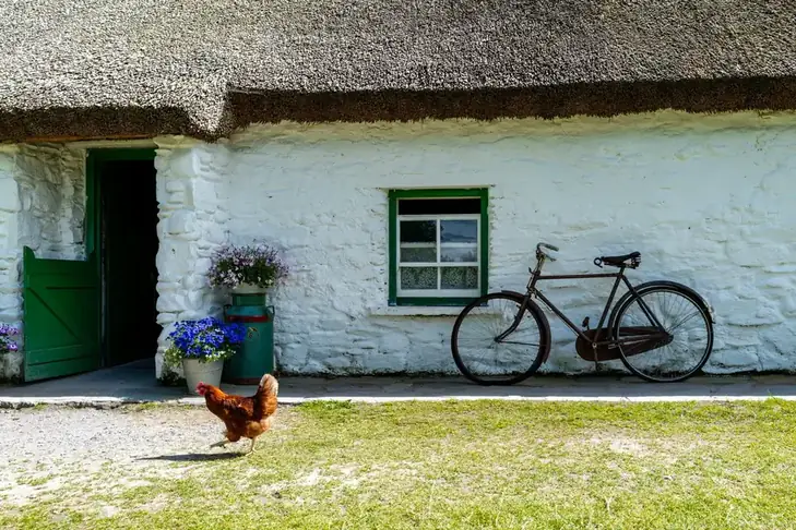 A whitewashed thatched cottage with a green door and a bicycle propped against the wall