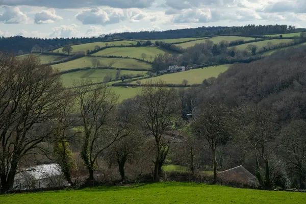 A wooded valley with hedged green fields on the slopes beyond