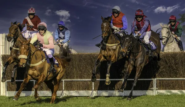 Racehorses and jockeys jumping a fence during a jump race