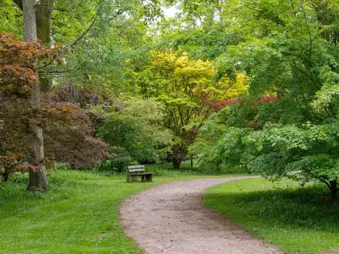 A path winding through a garden of mature trees and lawns