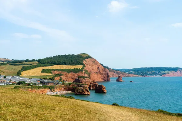 Red sandstone sea stacks and a small cove below green clifftop fields