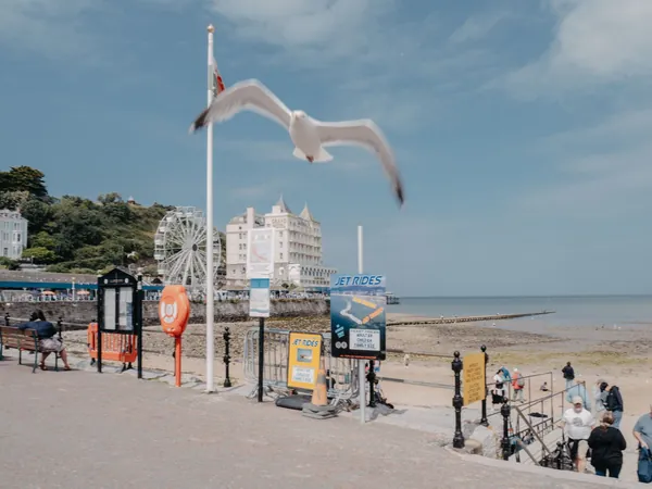 A gull flying over a seaside promenade with lamp posts and the beach beyond