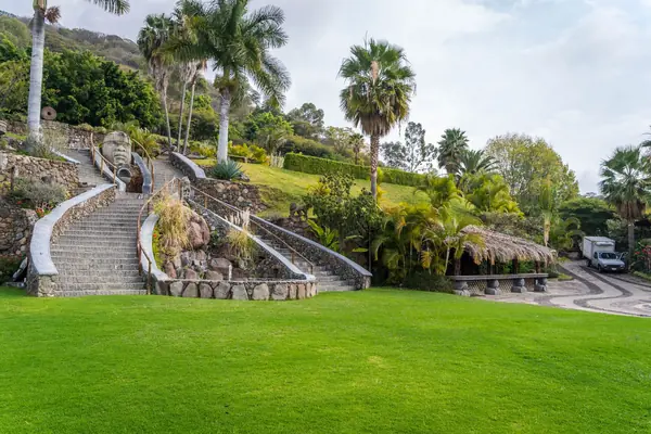 Terraced garden steps climbing between palms and planting above a lawn
