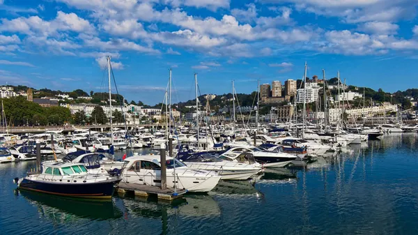 Rows of yachts moored in a marina with a hillside town behind