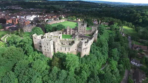 Ruined castle walls among trees above town rooftops, seen from the air